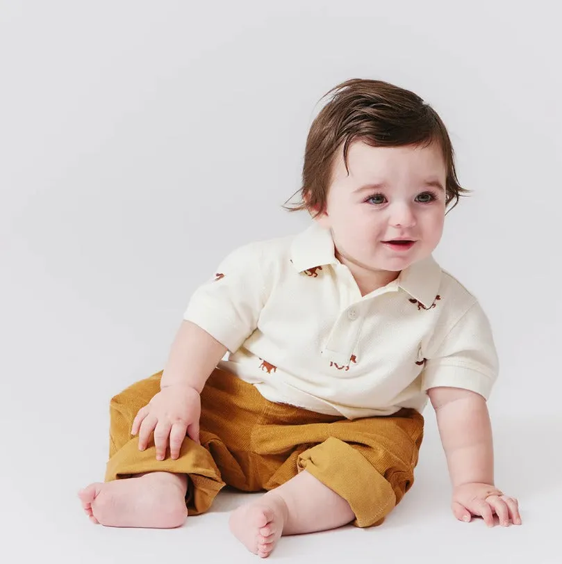 Baby Boys Alec Shirt - Lucky Horses Embroidery ||  Pink Chicken