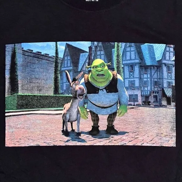 DreamWorks Shrek &amp; Donkey Surprised Frame Graphic Tee Shirt / Size M