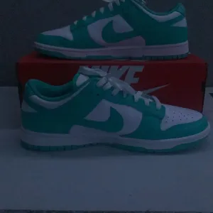 Nike Dunk Low “Clear Jade” - Shoes - Size 11