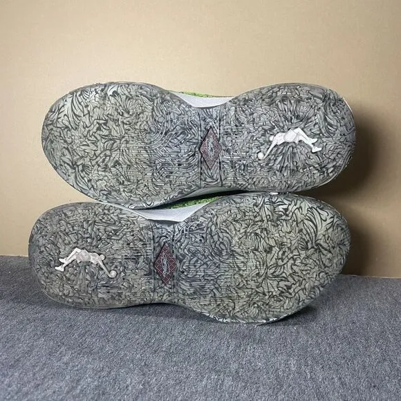 Nike‎ Lebron XX 20 GS Stocking Stuffer Shoes Grinch Youth US 7Y DQ8646-300