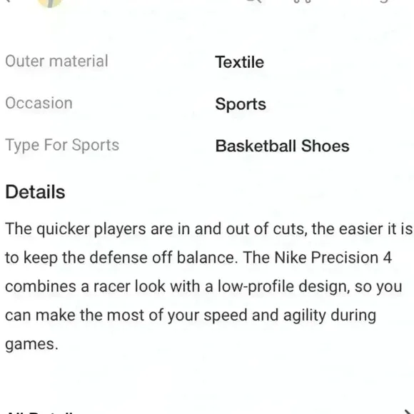 Nike Precision 4 Basketball shoes