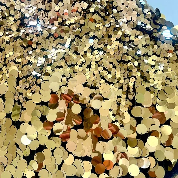 NWT! Free people Can't Get Enough Disc Sequin Mini Skirt in Gold and black