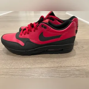 🔥RARE NIKE AIR MAX 1 LTR Premium