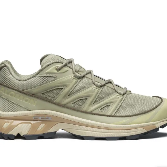 Salomon Men's sage green and Tan Shoes Brand new