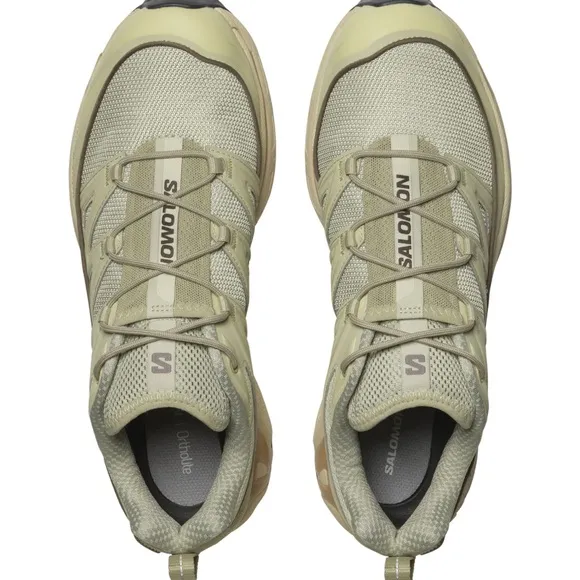 Salomon Men's sage green and Tan Shoes Brand new