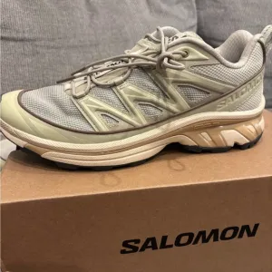 Salomon Men's sage green and Tan Shoes Brand new