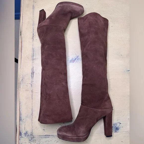 Stewart Weitzmen Brown Over-the-Knee Women's Boots