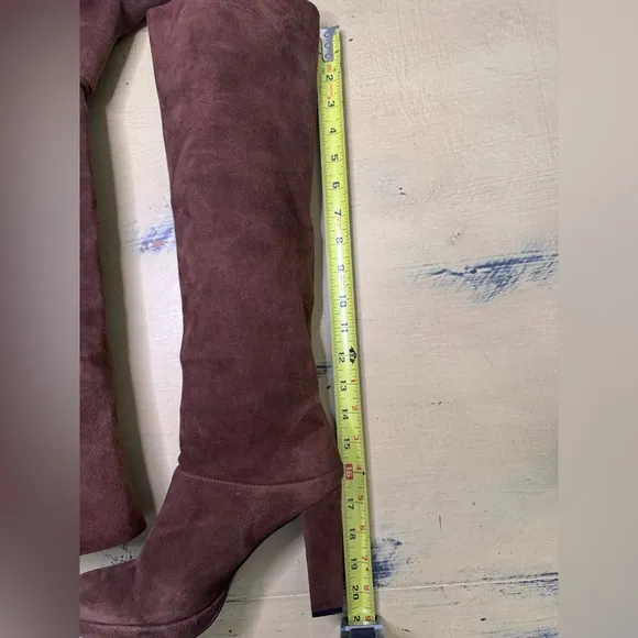 Stewart Weitzmen Brown Over-the-Knee Women's Boots