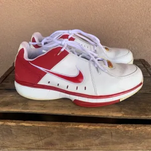 Vintage 2006 Nike Air Flight Fresh Low Penny Nash Shoes