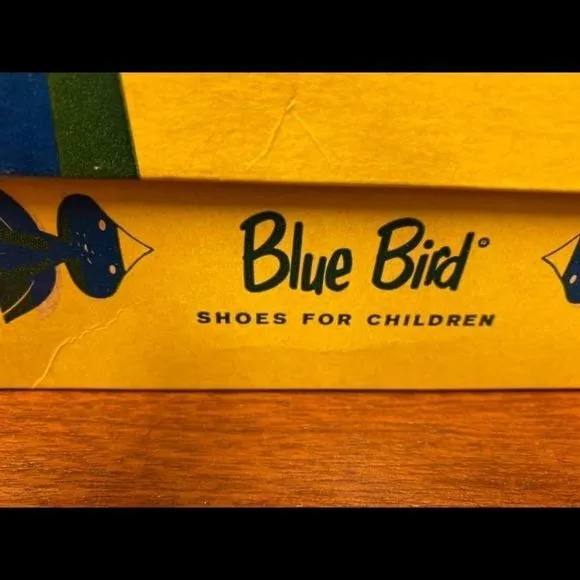 Vintage Blue bird shoes for children -