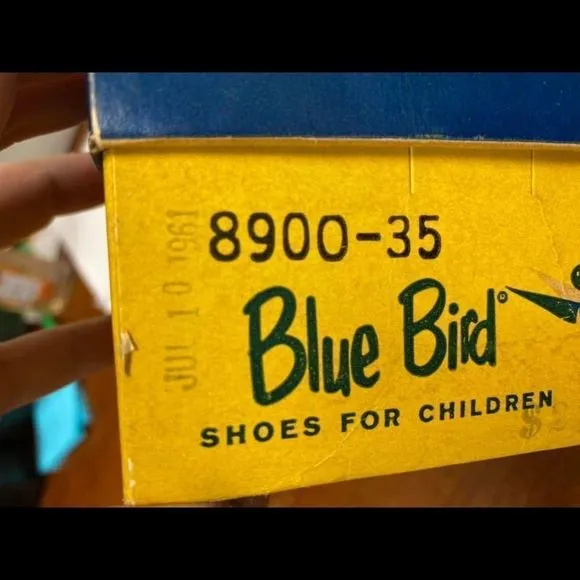 Vintage Blue bird shoes for children -