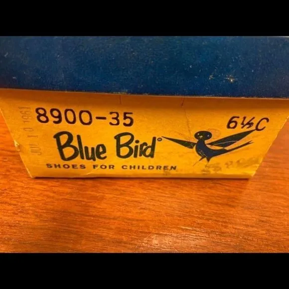 Vintage Blue bird shoes for children -